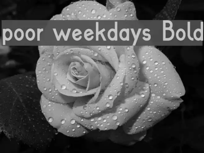 poor weekdays Bold Font examples