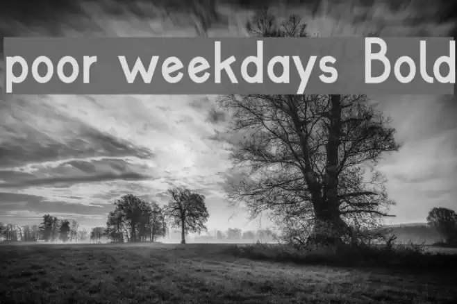 poor weekdays Bold Font examples