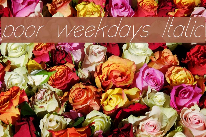 poor weekdays Italic Font examples