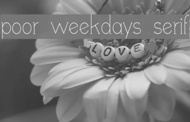 poor weekdays serif Font examples