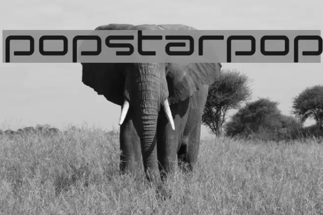 popstarpop Font examples