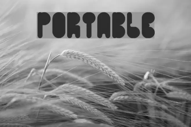 portable Font examples