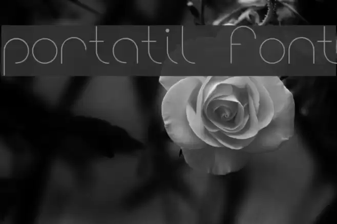 portatil font Font examples