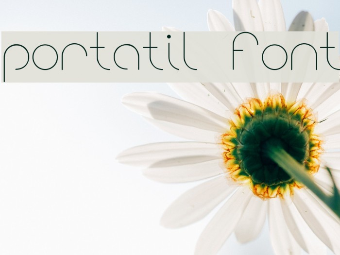 portatil font Font examples