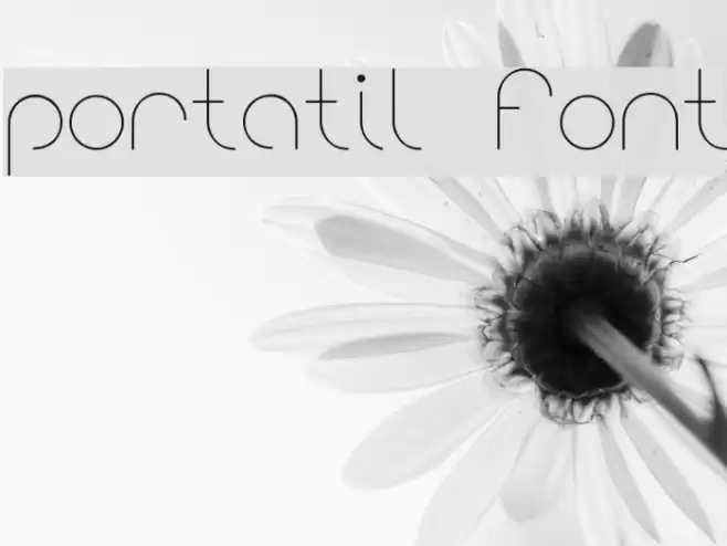 portatil font Font examples