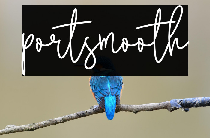portsmooth Example 1
