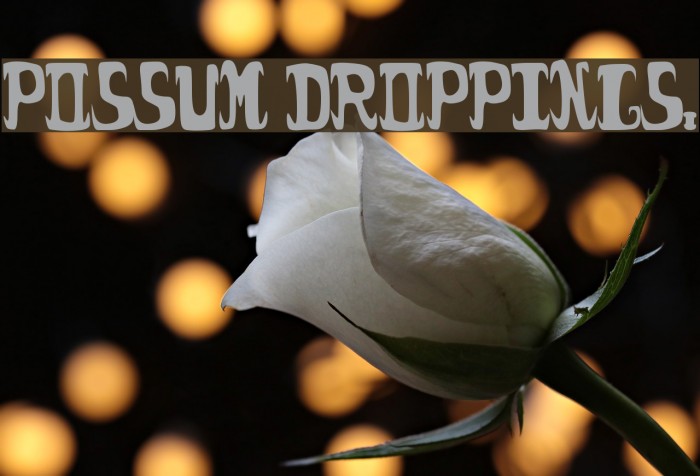 possum droppings. Font examples