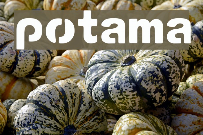 potama Font examples