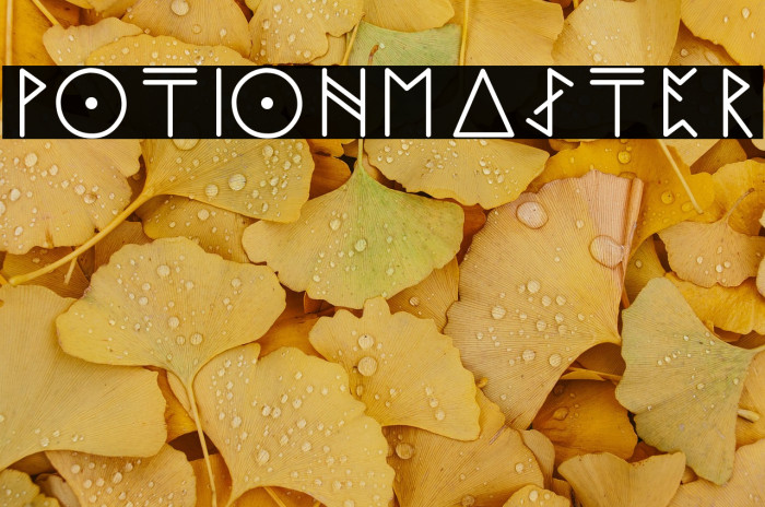 potionmaster Example 2