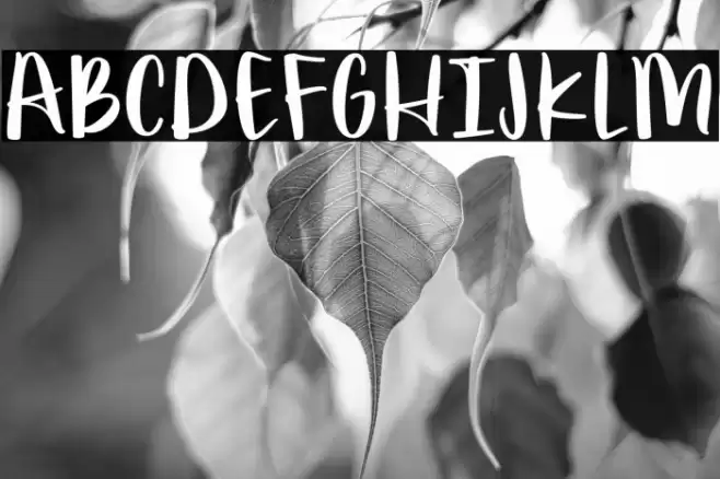 poundcake Font examples