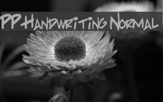 PP Handwriting Normal Schriftart examples