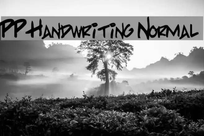 PP Handwriting Normal Schriftart examples