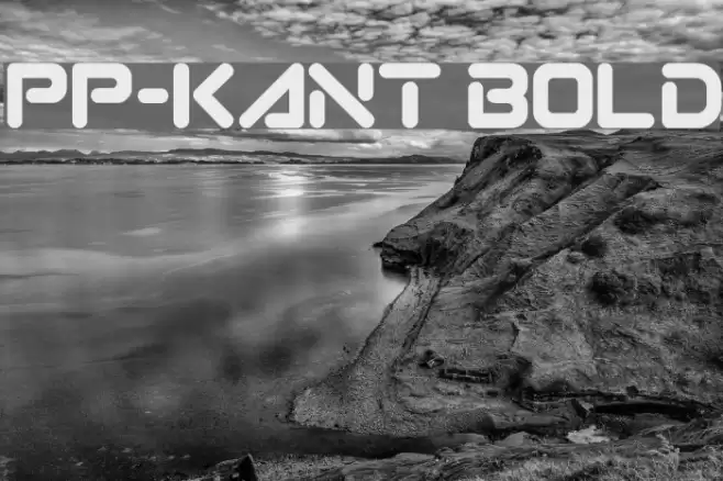 PP-Kant Bold Font examples