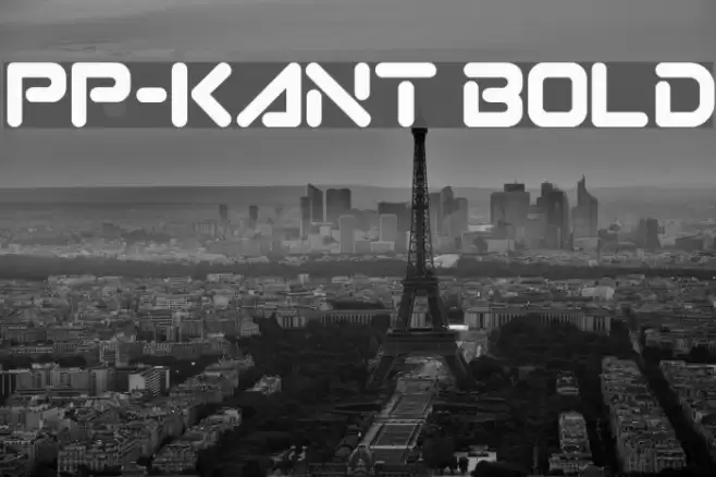 PP-Kant Bold Font examples