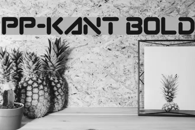 PP-Kant Bold Font examples