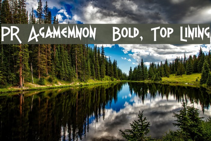 PR Agamemnon Bold, Top Lining Font examples