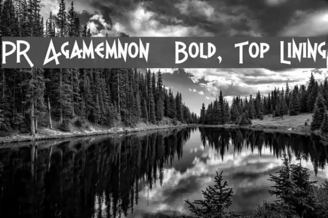 PR Agamemnon  Bold, Top Lining Font examples