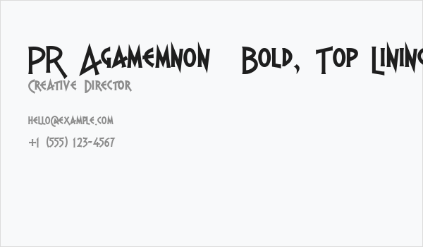 PR Agamemnon  Bold, Top Lining Business Card
