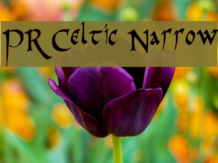 PR Celtic Narrow Шрифта examples