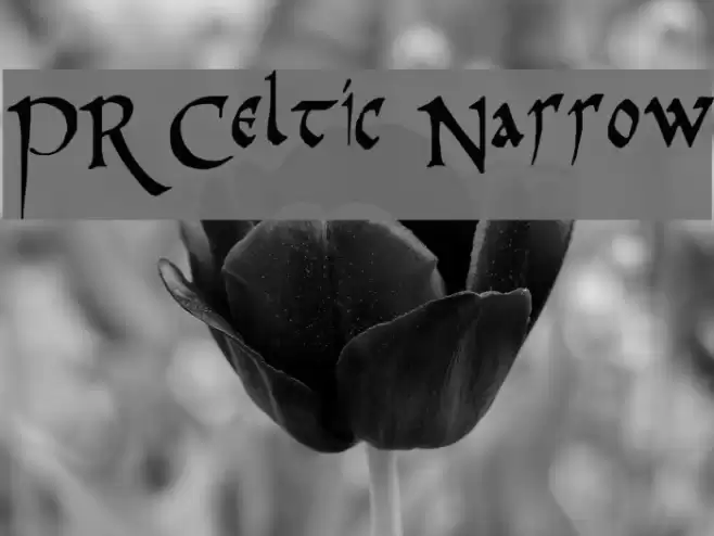 PR Celtic Narrow Шрифта examples