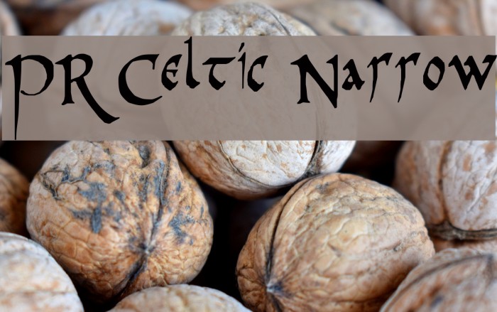 PR Celtic Narrow Шрифта examples