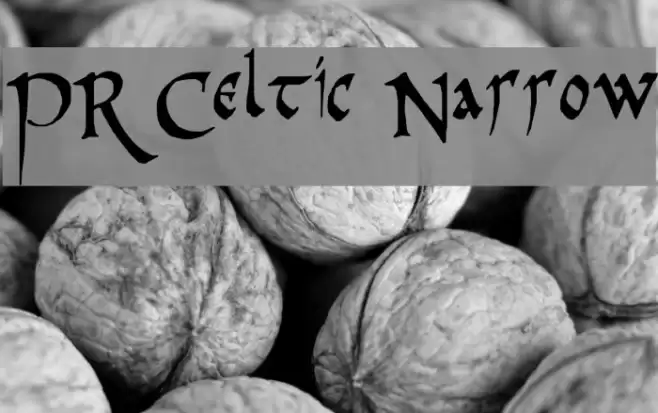 PR Celtic Narrow Шрифта examples