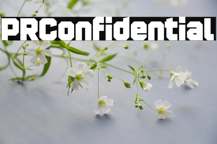 PR Confidential Example 1