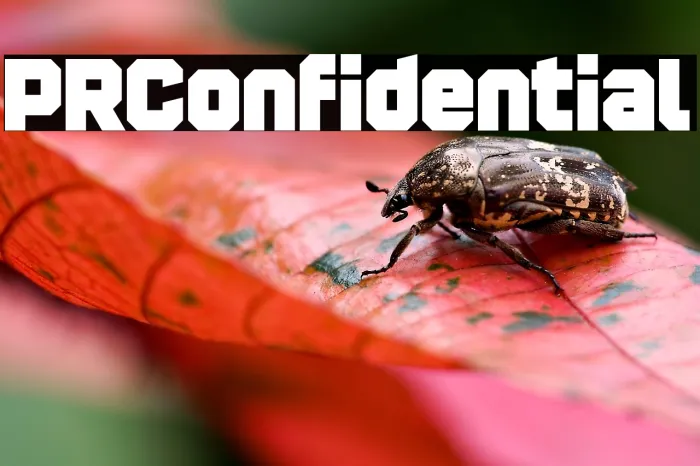 PR Confidential Example 3