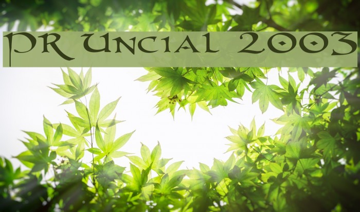 PR Uncial 2003 Font examples