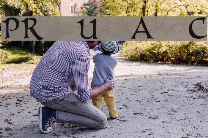 PR Uncial Alt Caps Font examples