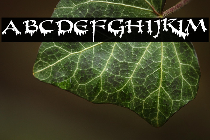 PR-Uncial Creepy Example 3