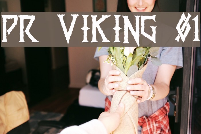 PR Viking 01 Font examples