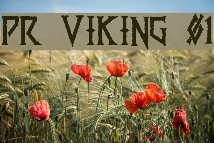 PR Viking 01 Font examples