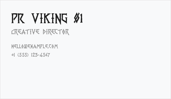PR Viking 01 Business Card