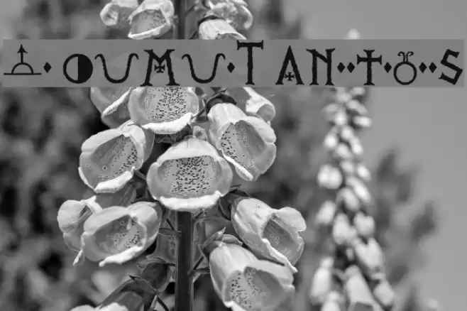 PR Viking Alternates Font examples