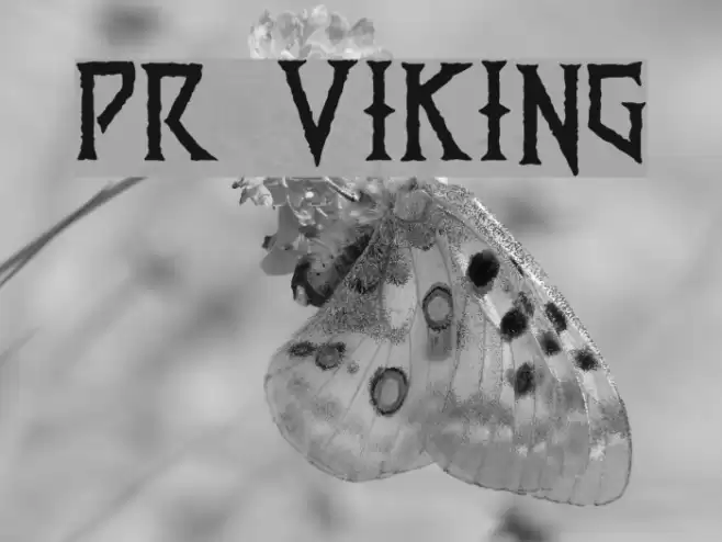PR Viking Font examples