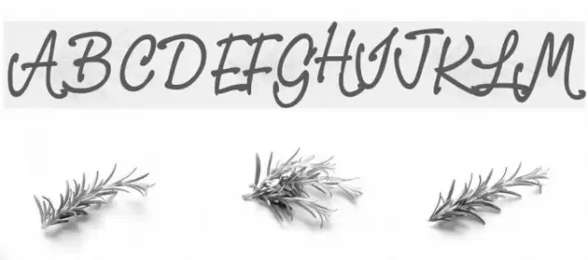 PR8 Charade Font examples