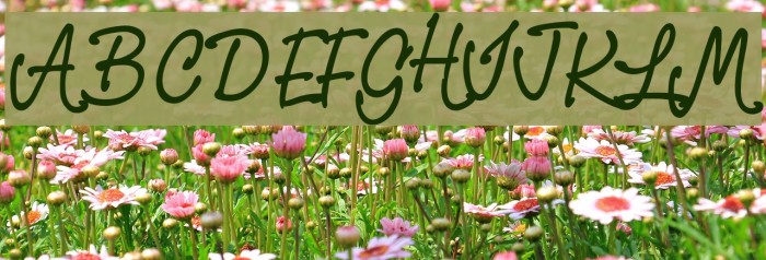 PR8 Charade Font examples