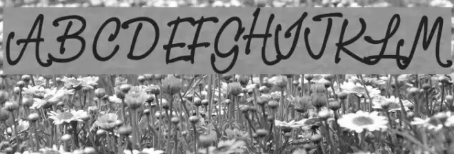 PR8 Charade Font examples