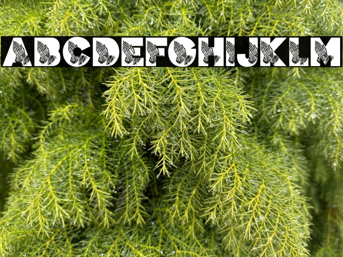 PRAYER PERSONAL USE Bold Example 2