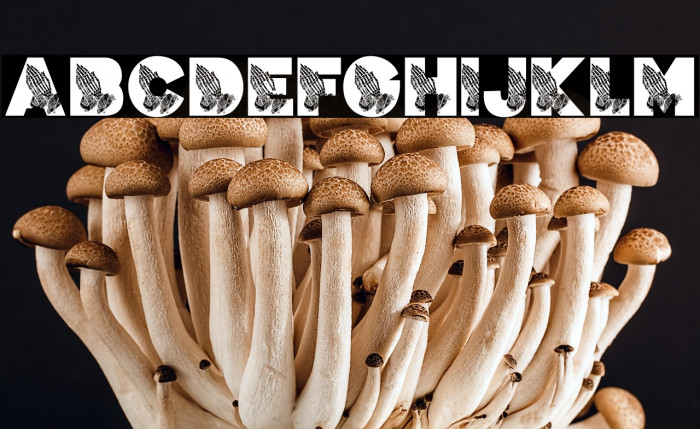 PRAYER PERSONAL USE Bold Example 3