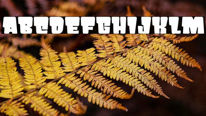 PRIKO STAR Example 2