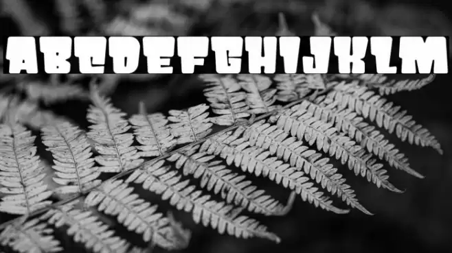 PRIKO STAR フォント examples