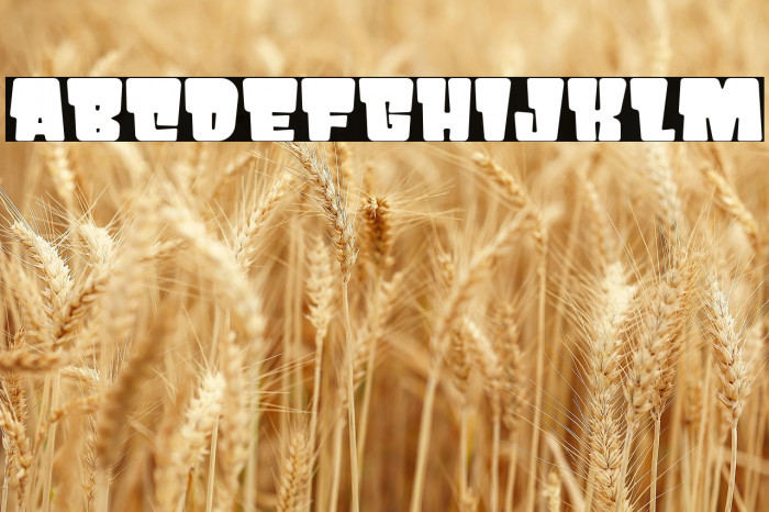 PRIKO STAR Example 3