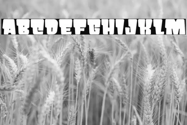 PRIKO STAR フォント examples