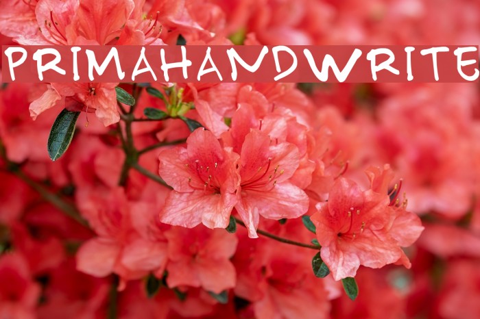 PRIMAHANDWRITE Font examples