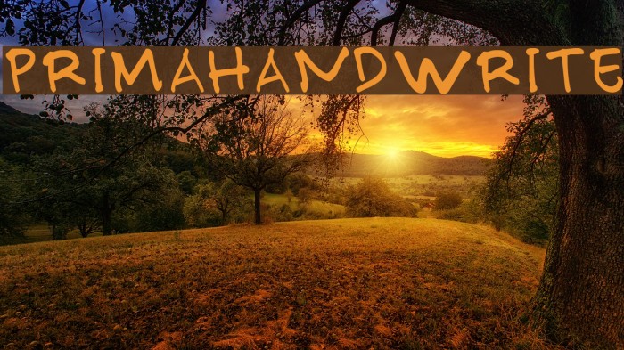 PRIMAHANDWRITE Font examples