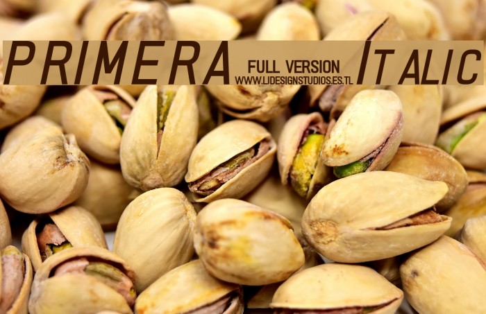 PRIMERA Italic Font examples