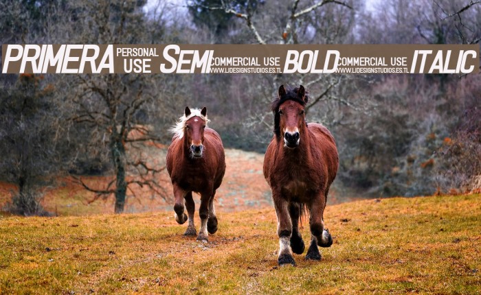 PRIMERA Semi-bold-italic Font examples