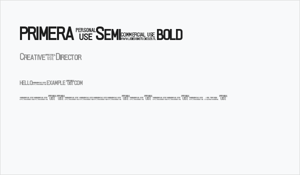 PRIMERA Semi-bold Business Card